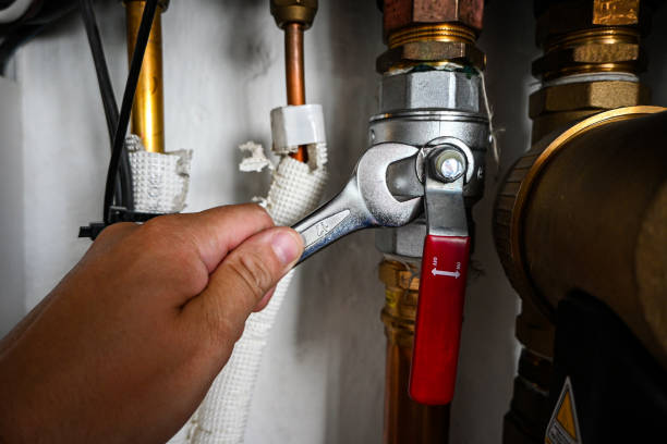 Best Plumbing Inspection Services  in Wyldwood, TX